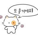 에스제이여행카페 이미지