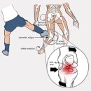 이윤채통합의원 이미지