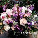 박지영산부인과의원 이미지