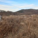 영천남부공인중개사사무소 이미지