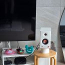 니트디자인(주간) | [JJUNG diary] 생일 주간(쇼핑 삼매경, 택배 삼매경, 요리 삼매경)