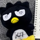 젶냥이🎸⚡️🤍🩷 이미지