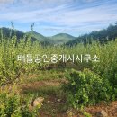 점암면사무소 티스토리