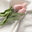 달치즈디자인 이미지