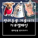토스뱅크 겨울나기캠페인 목도리뜨기 후기 (마무리방법)