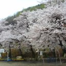 내산초등학교 이미지