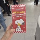 피코테라 | 페이스팩토리 스누피 더현대 팝업스토어 놀거리추천 데이트코스추천 방문후기