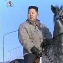 백마 이미지