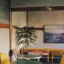 멍푸치노 이미지