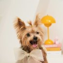 베네핏스튜디오 이미지