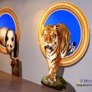 트릭아트뮤지엄 이미지