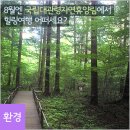 대관령자연휴양림 이미지