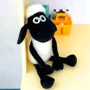 (주)씨앤씨드림 이미지