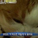 성산농장 이미지