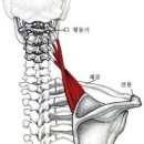 마천경희한의원 네이버블로그