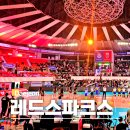 충무체육관 | 여자배구 정관장 레드스파크스 예매 대전 충무실내체육관 좌석 가격