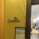 라 보까 | [내돈내산]부산 바다 보며 즐기는 런치 뷔페, 웨스틴조선 까밀리아 솔직후기 메뉴 가격할인💛