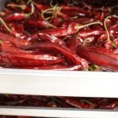 야채청과 이미지