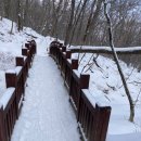 곰배령 벨리 이미지