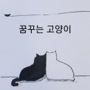꿈꾸는 고양이 네이버블로그