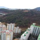 신한동물병원 앞 이미지