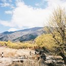 (3월 정기산행) 지리산 만복대(1437m) &amp; 구례 산수유마을 꽃여행 이미지