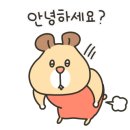 참약사봄약국 이미지