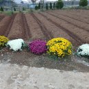 한길타조농장 이미지