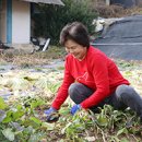 오랜 질병의 고리를 끊으며 - 유전성 출혈성 모세혈관확장증 치료 조삼순 편조삼순 님의 리얼스토리 이미지