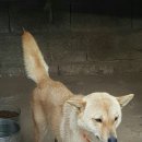 옥진