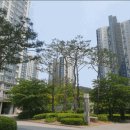 현미경공인중개사사무소 네이버블로그