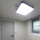 푸른아파트 이미지