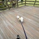 HS글로리 이미지