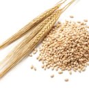 보리약국 이미지