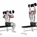 프레스짐(Press GYM) 이미지