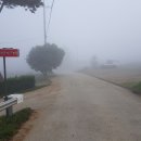 판관오리 이미지