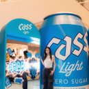 카스 라이트 카카오 검색결과