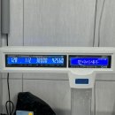 옥천 동부수산 활어직판장 농어,우럭,대하1kg 내돈내산 후기
