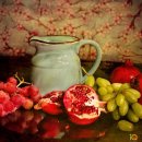 비타민한의원 이미지