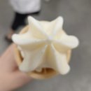 초록별푸드 | 이케아 스웨디시 푸드코트 식당 주문방법과 추천메뉴 추가로 아이스크림 후기까지