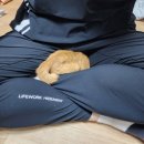 조재진 동물병원 이미지