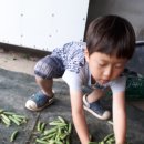 보섭농장 이미지