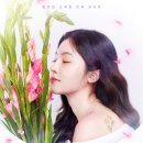 정효빈 소극장 단독 콘서트 [The Blossom] 공연 안내 🌸 이미지