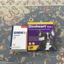 금호동동물약국 | (내돈내산)강아지 심장사상충약 약국 구매후기 가격:광주광역시 동물약국