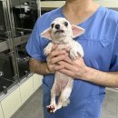 전주중산초등학교 이미지