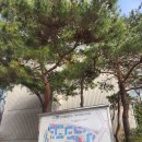 2. 신혼부부 내집마련 임장 - 동대문구 제기동한신휴플러스