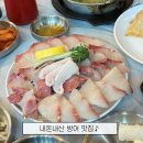 쌍둥이네 회 포차 | 경산 방어맛집 야장갬성+가성비 미친 쌍둥이네 회포차 후기