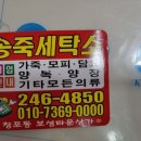 송죽세탁소 네이버블로그