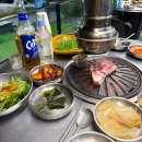 문치비