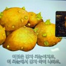 킨더나라어린이집 이미지